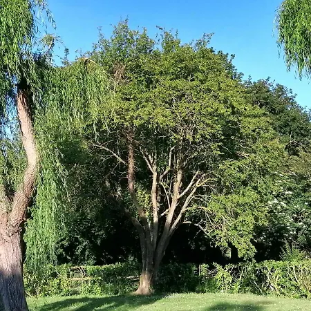 Vakantiehuis Les Mirabelles Calme Et Reposant *