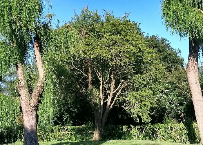 Prázdninový dům Les Mirabelles Calme Et Reposant *